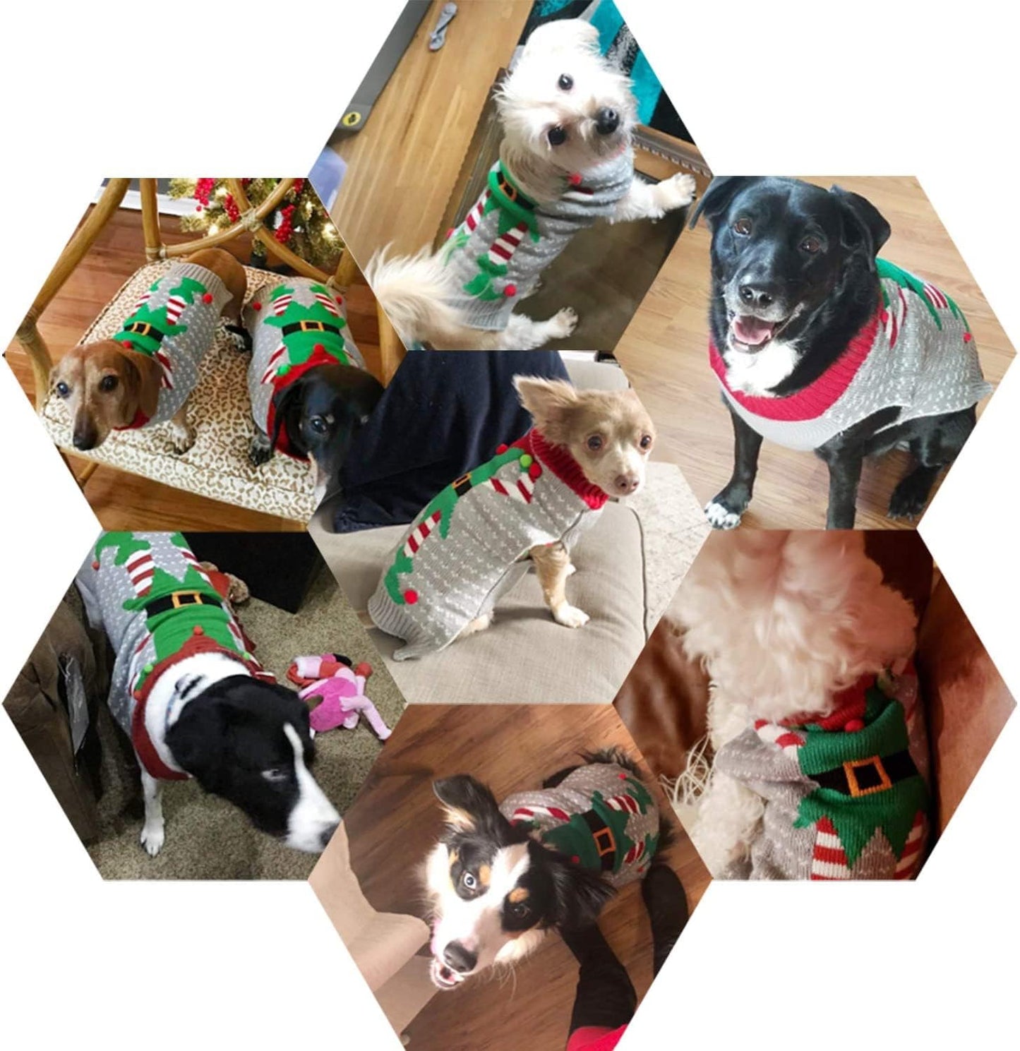Christmas Dog Elf Sweater